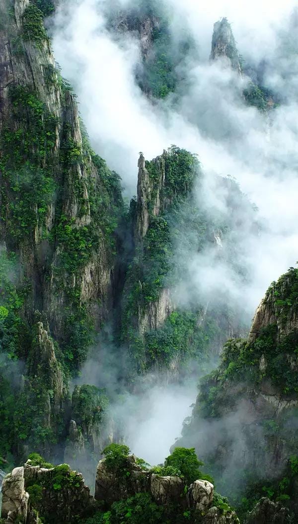 黃山又一次震驚全國！恍如人間仙境，美到極致！